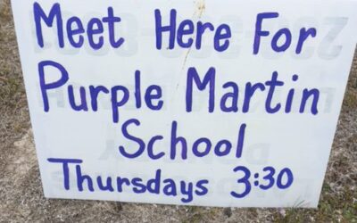 Purple Martin School Comes to Cape Coral