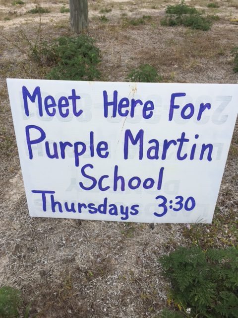 Purple Martin School Comes to Cape Coral