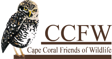CCFW Logo 2
