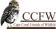 Cape Coral Friends of Wildlife