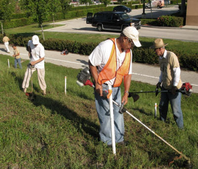 burrow maintenance