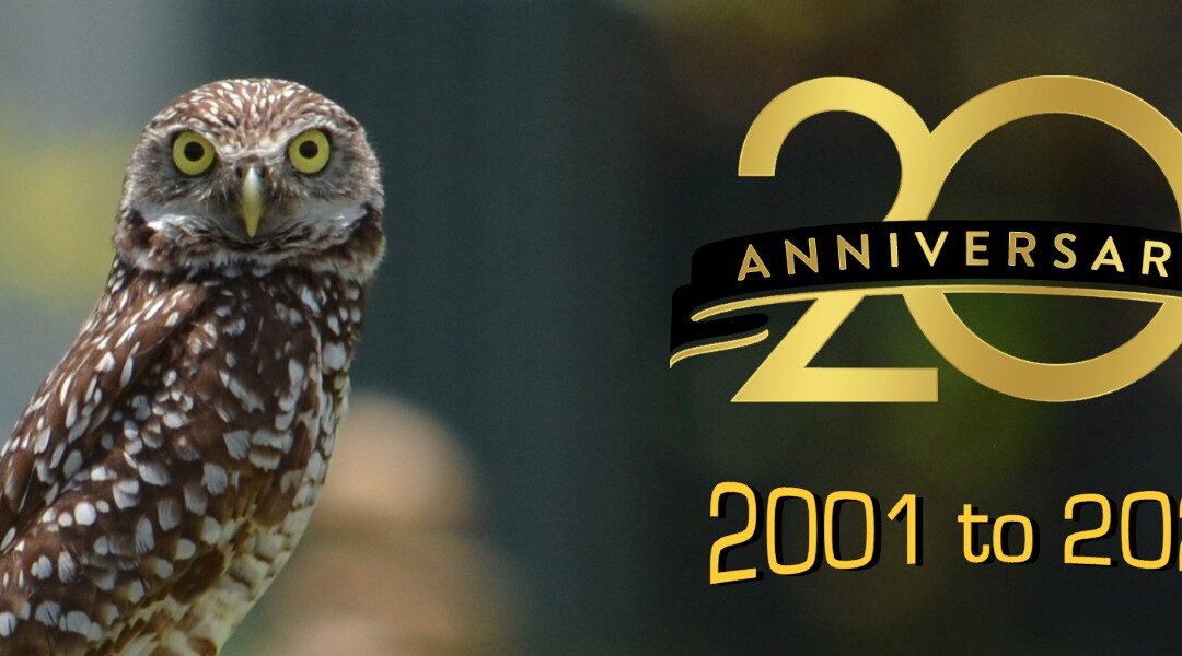 We are officially 20 years young!