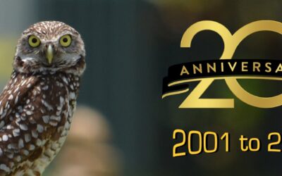 We are officially 20 years young!