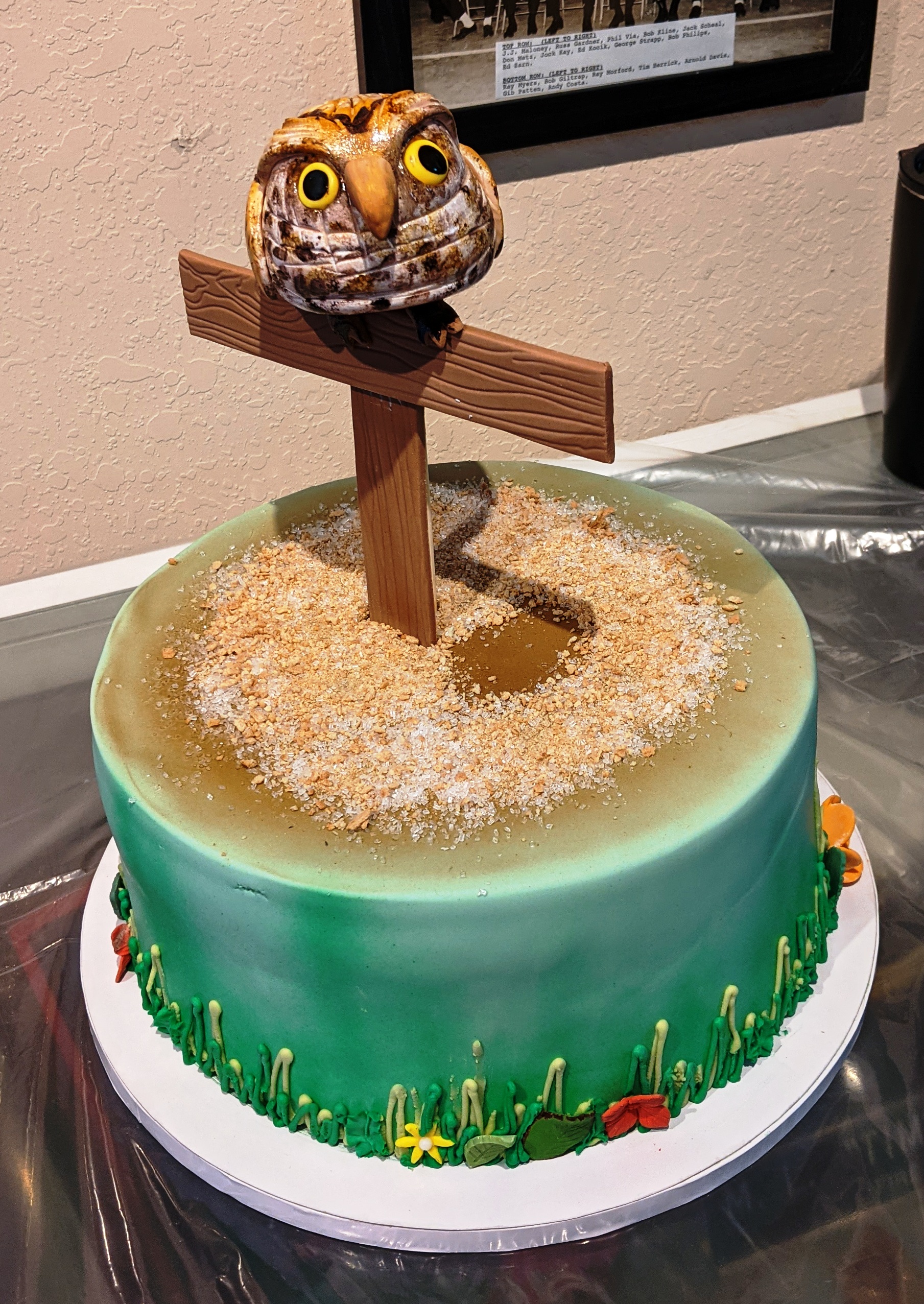 Barn owl birthday cake