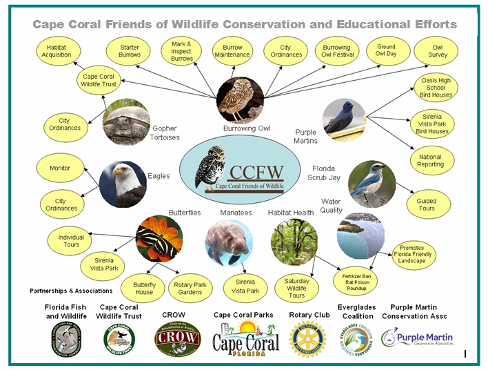 CCFW Efforts Chart
