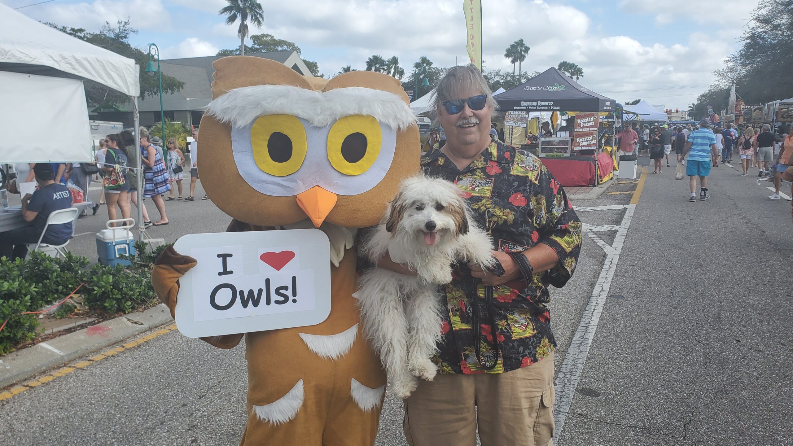 Owl with dog