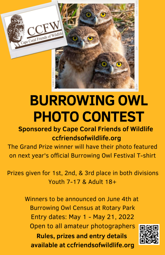 Burrowing Owl Photo Contest 5-4-22