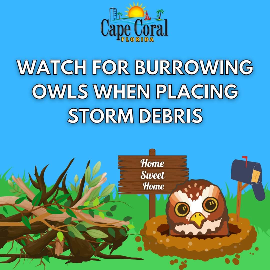 Please be careful with the owl burrows.