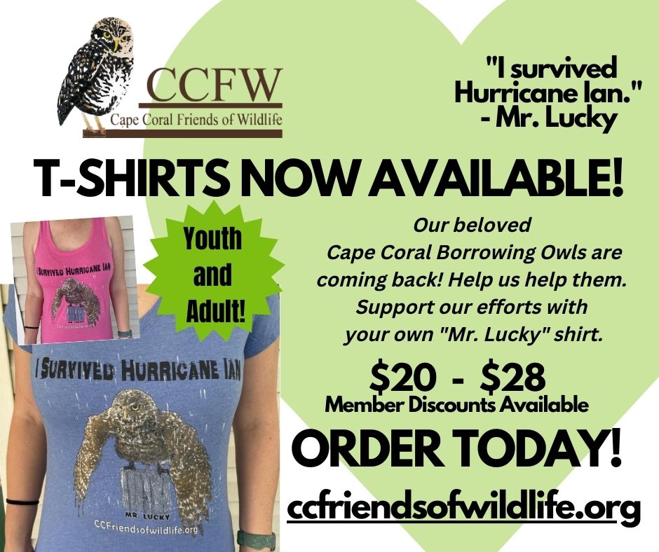 Our beloved Cape Coral Borrowing Owls are coming back! Celebrate and support this effort with your own Mr. Lucky shirt!