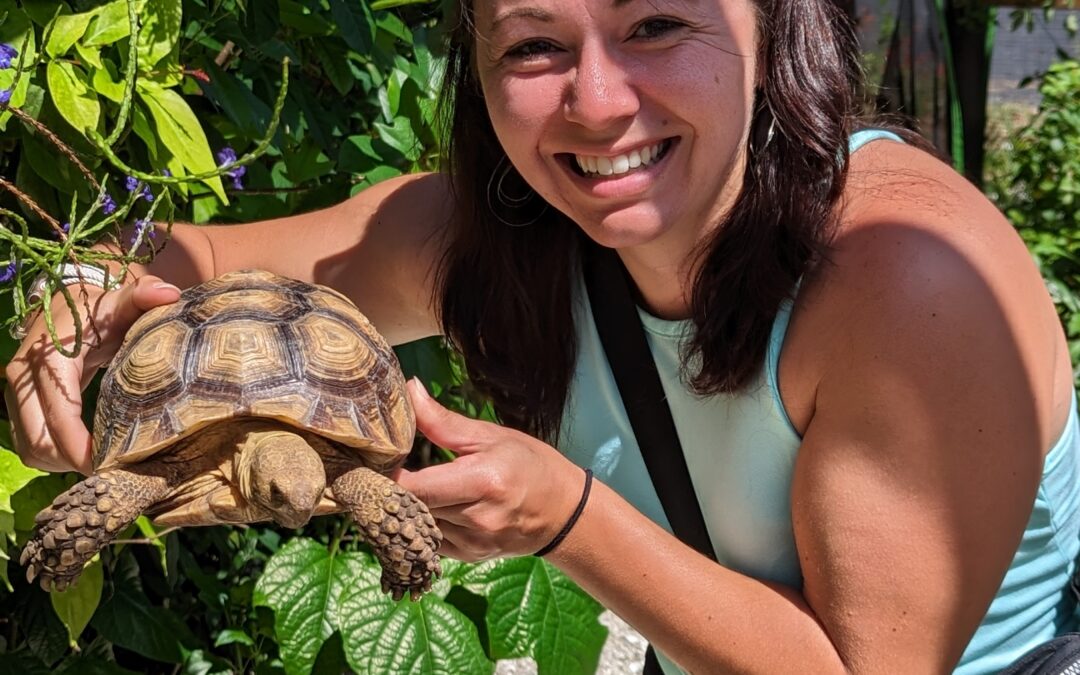 Butterfly House Visitor Saves Tonka the Tortoise