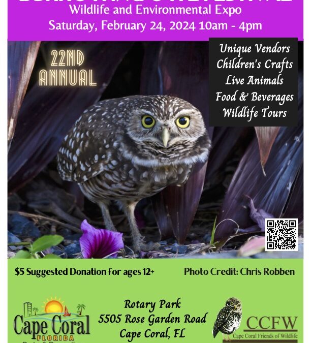Cape Coral Friends of Wildlife to Host 22nd Annual Burrowing Owl Festival