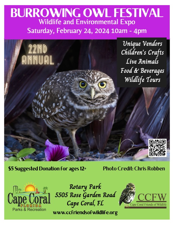 Burrowing Owl Festival 2024 Poster