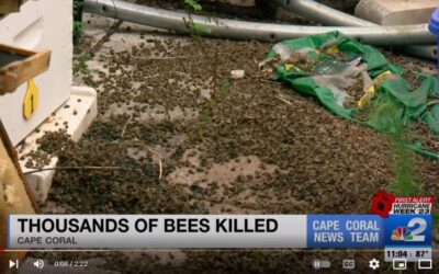 Thousands of bees found dead at Cape Coral home