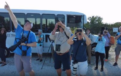 Watch: WGCU goes in search of feathered friends by way of the 20th Annual Burrowing Owl Festival