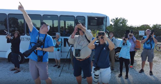 Watch: WGCU goes in search of feathered friends by way of the 20th Annual Burrowing Owl Festival