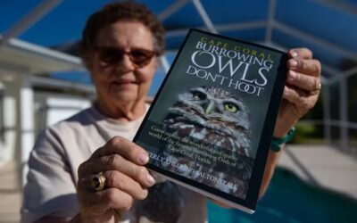 Meet the Cape Coral resident who really gives a hoot about burrowing owls