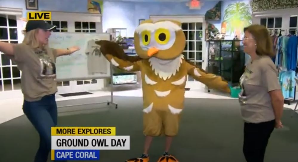 More Explores Ground Owl Day (ABC 7)