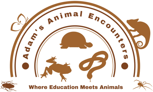 adams animal encounters logo