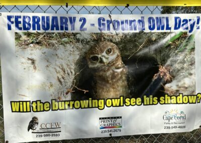 Ground Owl Day 2024 Banner
