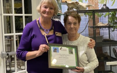 Volunteer of the Month – February 2024