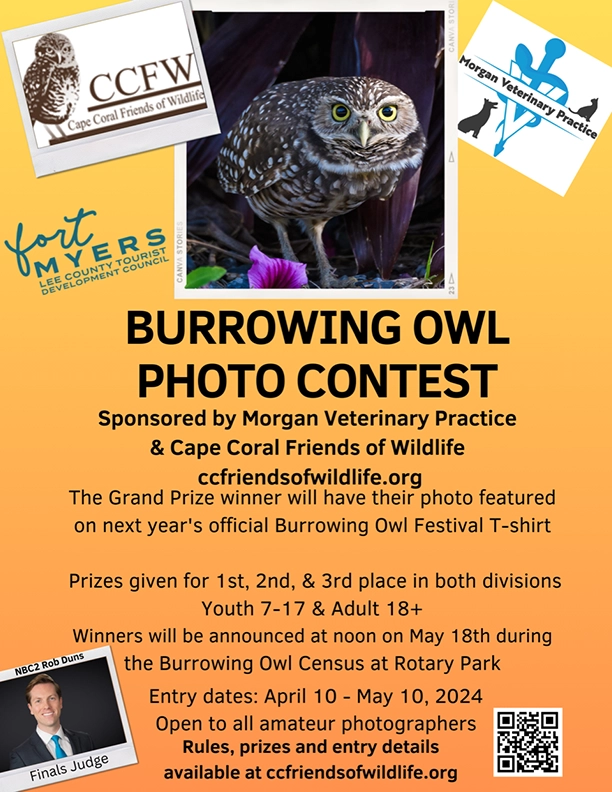 2024_CCFW_Burrowing_Owl_Photo_Contest_Official_Poster-3-19