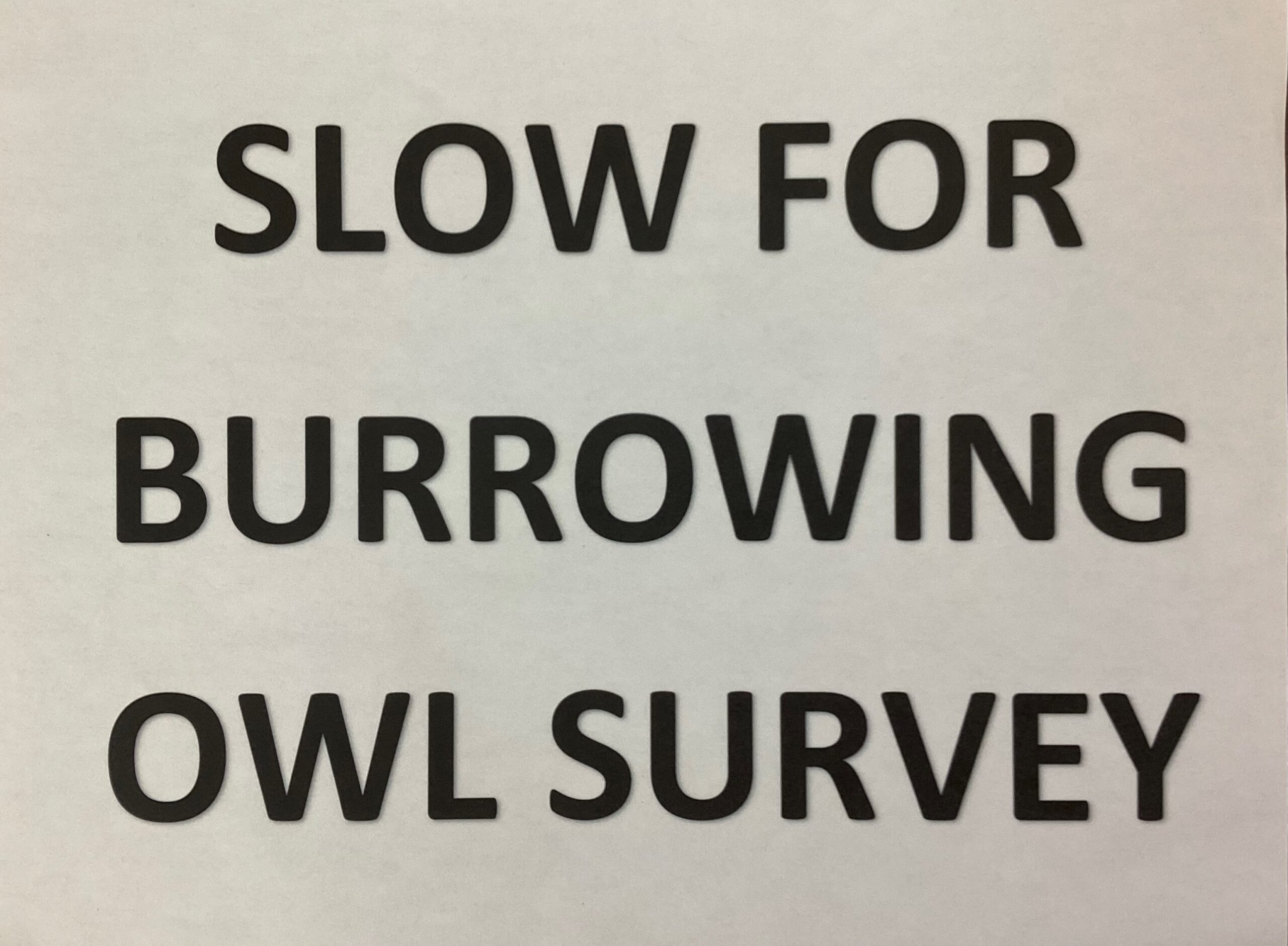 Slow for survey