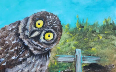 Cape Coral Paint and Sip – Burrowing Owl Fundraiser