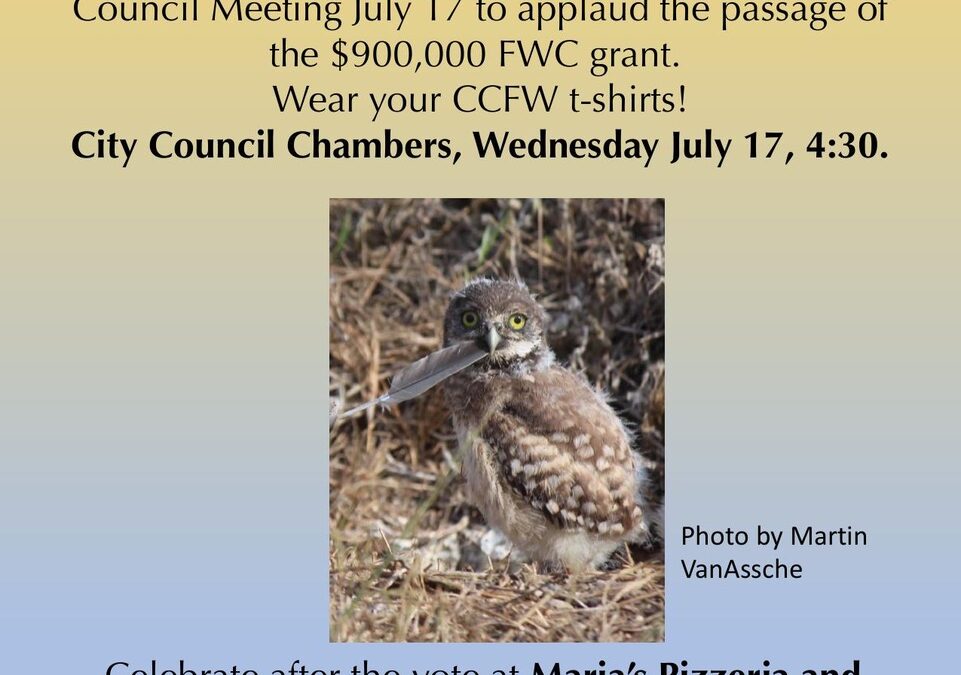 Cape Coral City Council Poised to Approve $900,000 Burrowing Owl Grant