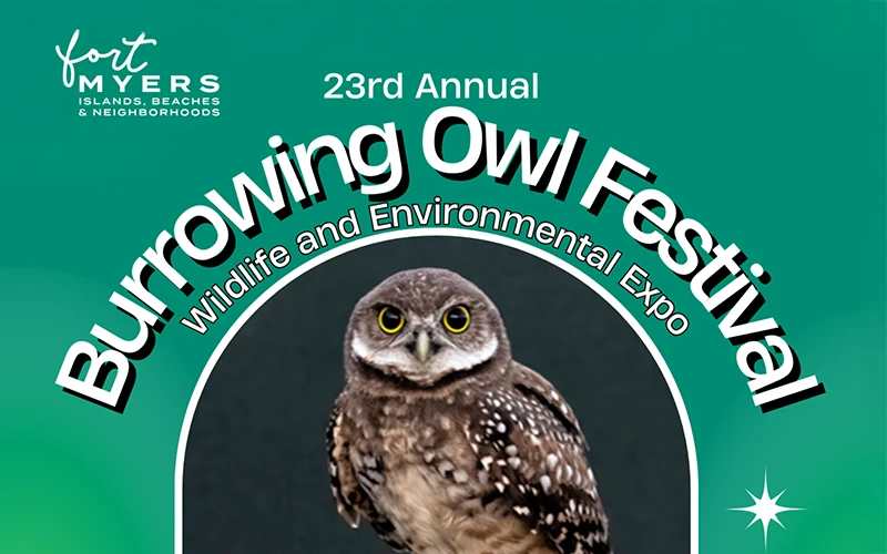 Thumbnail for the 23rd annual burrowing owl festival