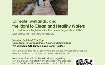 Invitation to: Climate, Wetlands, and the Right to Clean and Healthy Waters