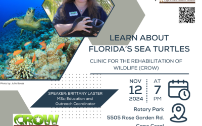 Learn about Florida’s Sea Turtles at the Cape Coral Friends of Wildlife Meeting