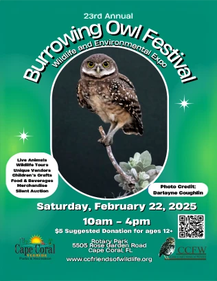 Thumbnail for the 2025 Burrowing Owl Festival Flier