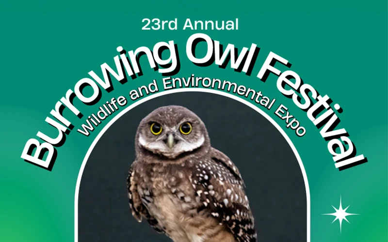 Thumbnail for the 23rd annual burrowing owl festival