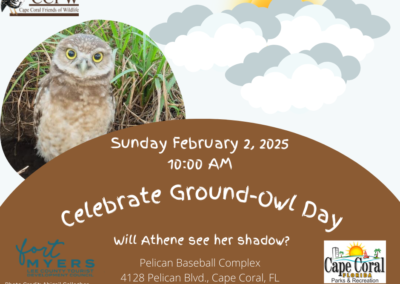 Ground Owl Day 2025