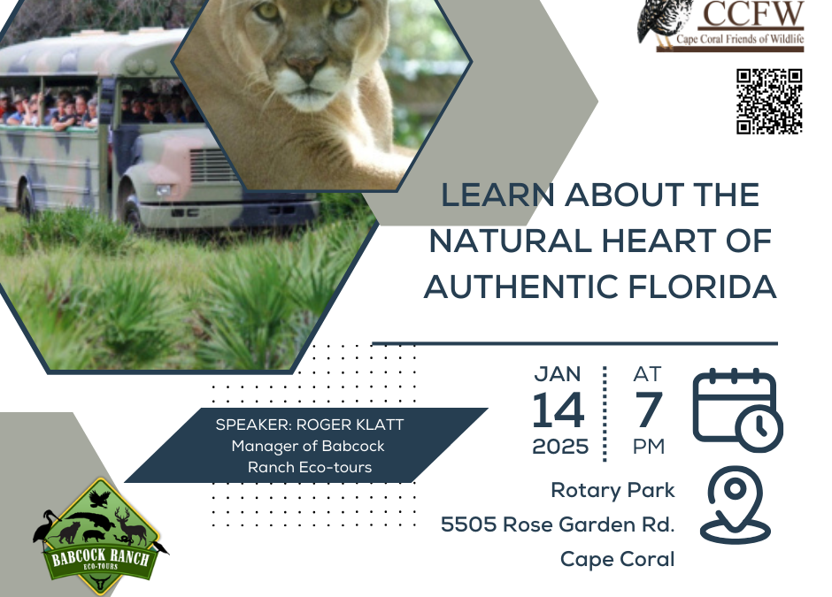 Learn About Babcock Ranch’s Wildlife and Ecosystems at the upcoming Cape Coral Friends of Wildlife Meeting