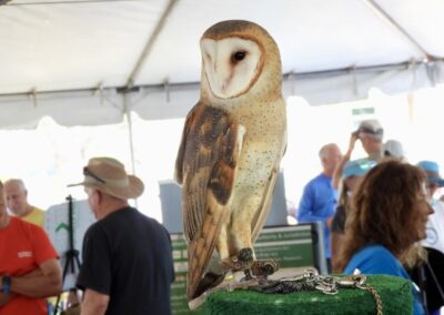 CCFW_2025_Burrowing_Owl_Festival_Photo_07