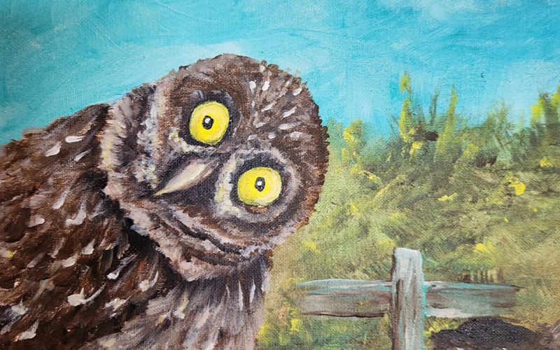 A painting of a Burrowing Owl