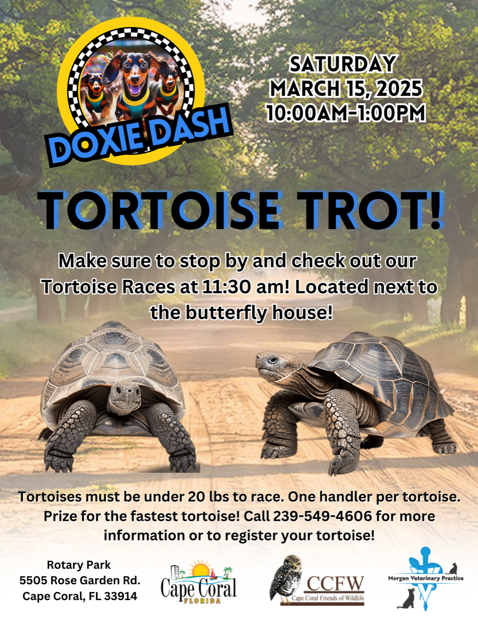 Tortoise Trot Flyer