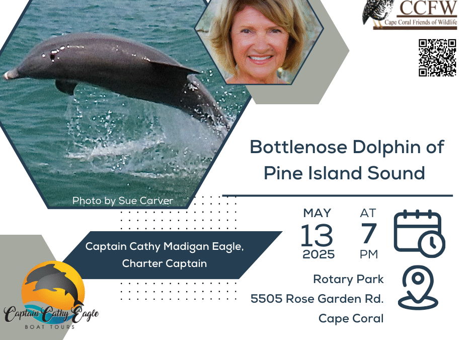 Captain Cathy Shares Dolphin Insights at Rotary Park