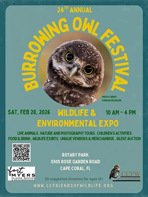 2026-Burrowing-Owl-Festival-Flyer-Thumb