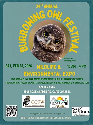 2026-Burrowing-Owl-Festival-Flyer-Thumb
