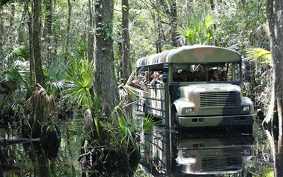 Join Cape Coral Friends of Wildlife for the Swamp Buggy Ecotour at Historic Babcock Ranch