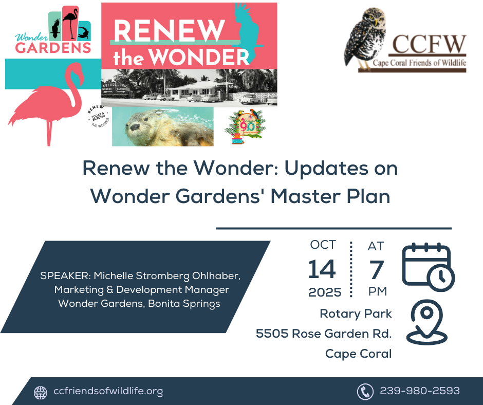 CCFW October 2025 General Meeting Flier