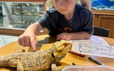 Join Us for Wild About Wildlife: A Fun Youth Experience with CCFW
