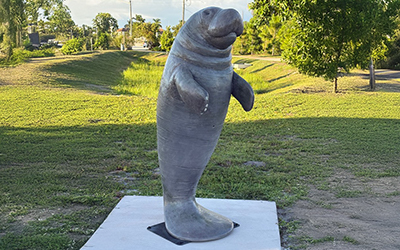Manatee Sculpture Unveiling