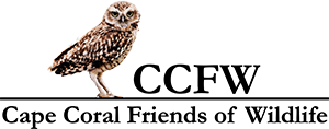Cape Coral Friends of Wildlife