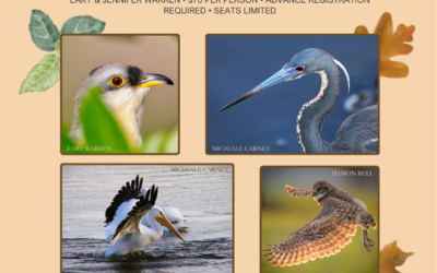 Southwest Florida Birding Specialty Tour
