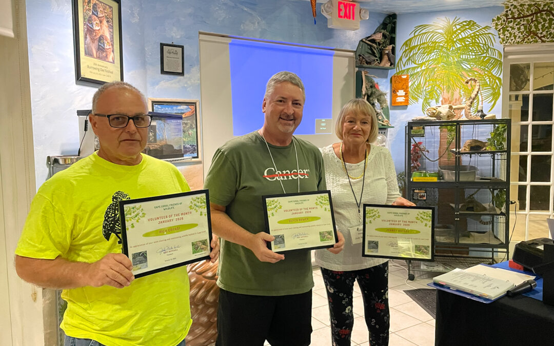 Volunteers of the Month – January 2026