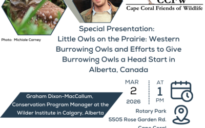 Cape Coral Friends of Wildlife to Host Special Burrowing Owl Presentation on March 2