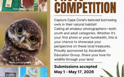 2026 Burrowing Owl Photo Contest